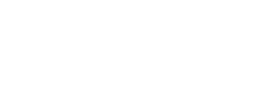 Fibex Telecom